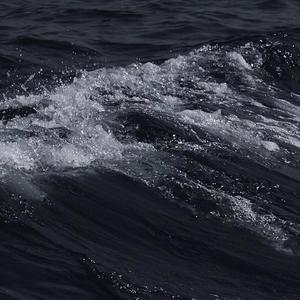 警花被歹徒糟蹋到高潮
